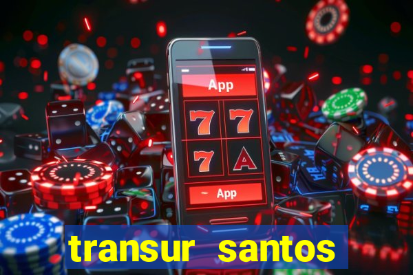 transur santos dumont x juiz de fora 2024