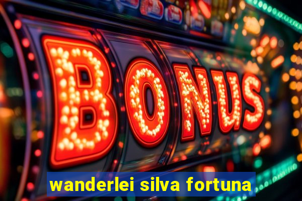 wanderlei silva fortuna