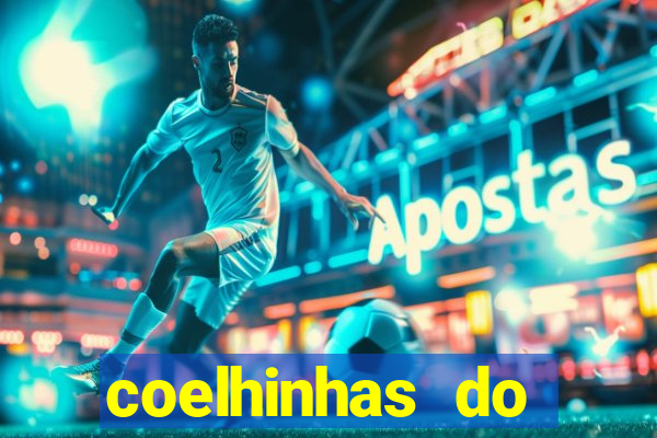 coelhinhas do brasil site