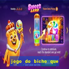 jogo do bicho que paga no pix