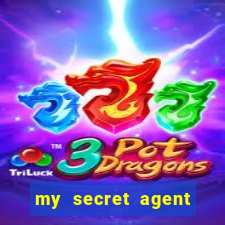 my secret agent husband legendado