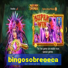 bingosobreoeca