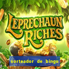 sorteador de bingo 90 bolas online