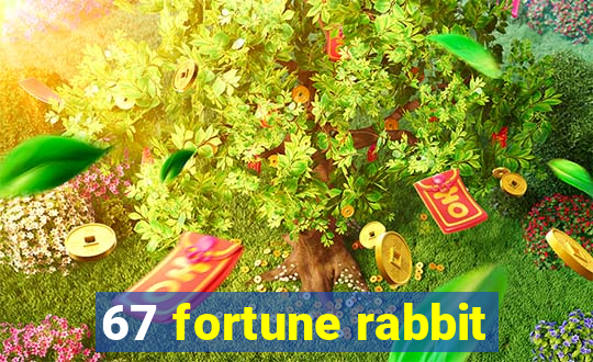 67 fortune rabbit