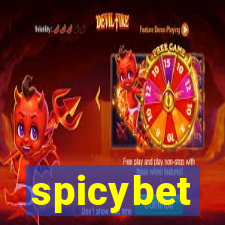 spicybet-5.com