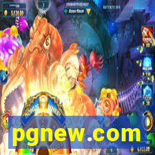 pgnew.com