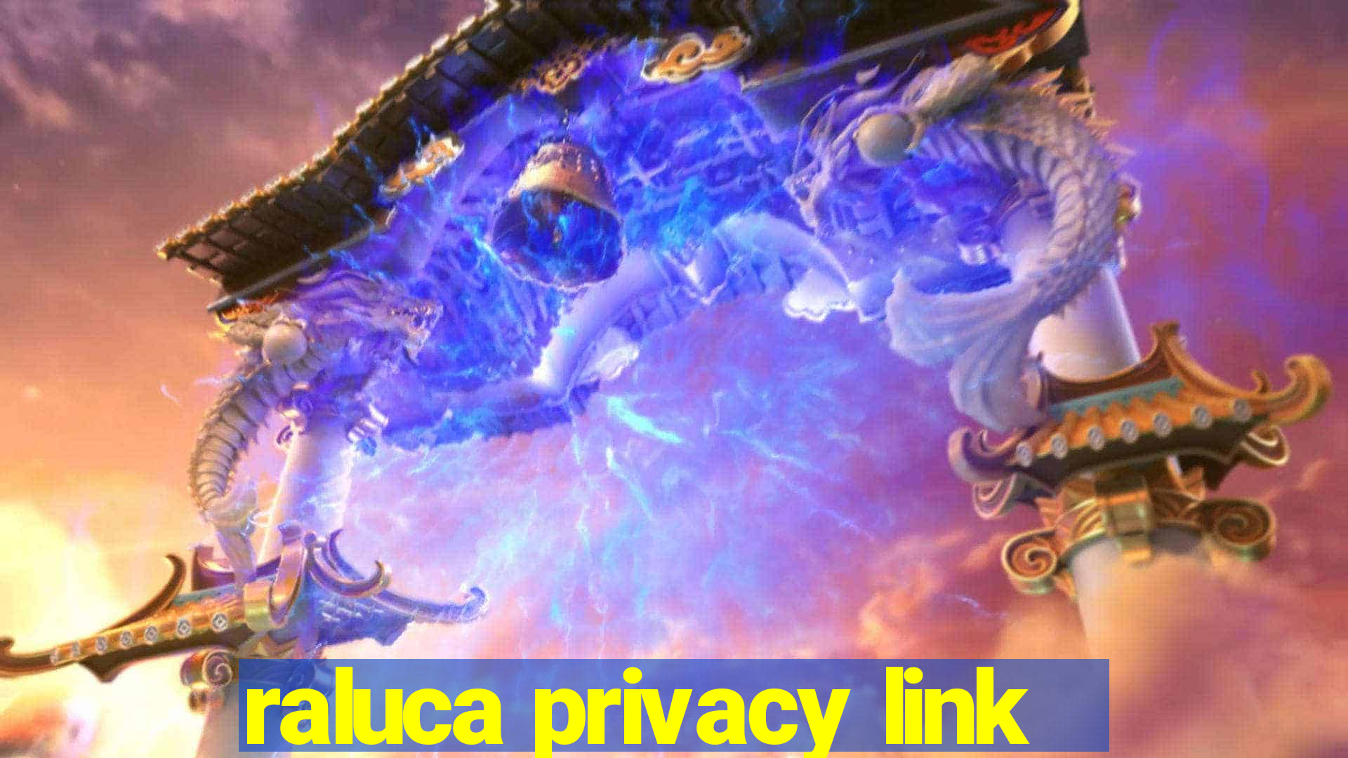 raluca privacy link