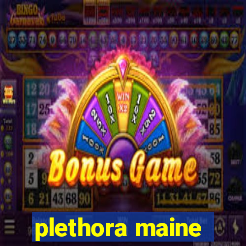 plethora maine