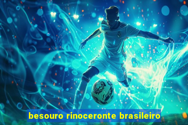 besouro rinoceronte brasileiro