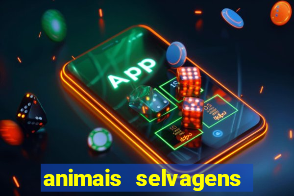 animais selvagens fotos e nomes