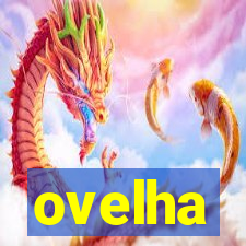 ovelha