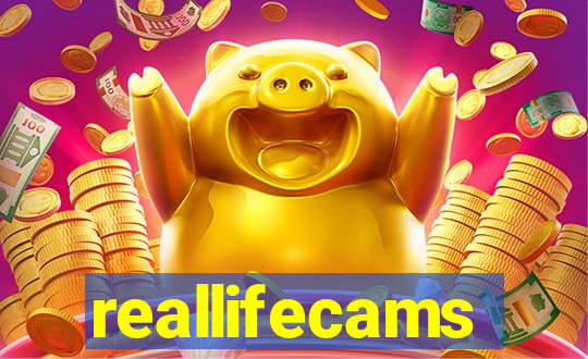 reallifecams